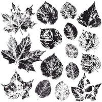 Set of vector drawings with acrylic paints. Collection of autumn leaves