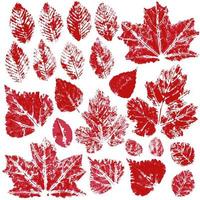 Set of vector drawings with acrylic paints. Collection of autumn leaves