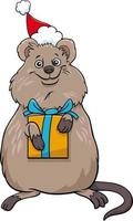 personaje de dibujos animados quokka animal con regalo en tiempo de navidad vector
