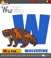 letter W from alphabet with cartoon wolverine animal character vector