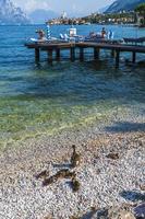 Lake Garda and the historic center of Malcesine. photo