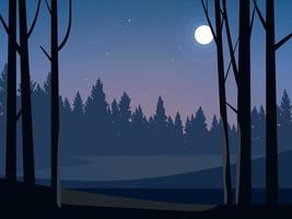 Beautiful Night in Forest vector