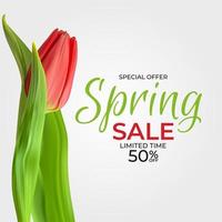 Spring Sale Template Background with realistic Tulip Flower. Vector Illustration