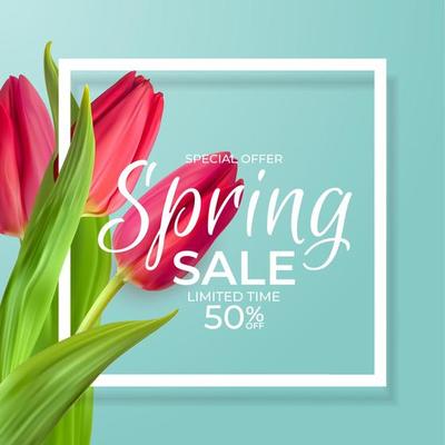 Spring Sale Template Background with realistic Tulip Flower. Vector Illustration