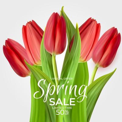 Spring Sale Template Background with realistic Tulip Flower. Vector Illustration