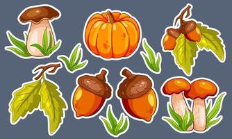 conjunto de otoño. setas, calabaza, bellotas, hierba, hojas de roble. vector