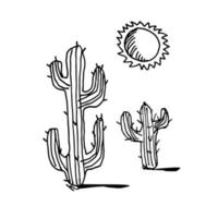 ilustración vectorial de cactus en el desierto vector