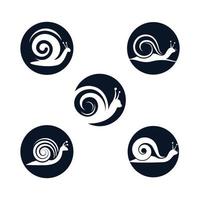 Snail logo images vector