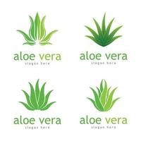 Aloe vera cosmetic herbal logo images  illustration vector