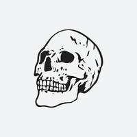 Skull head illustration vector