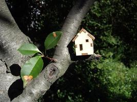 Wooden house on a tree branch photo