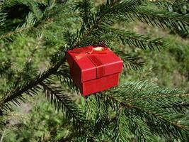 Red gift box on the background of spruce photo