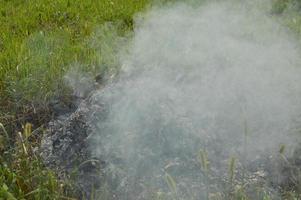 A bonfire with dry plants is burning on a land plot with fire and smoke photo