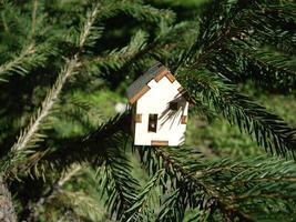 Wooden house on a spruce branch