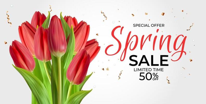 Spring Sale Template Background with realistic Tulip Flower. Vector Illustration