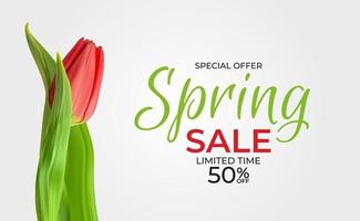 Spring Sale Template Background with realistic Tulip Flower. Vector Illustration