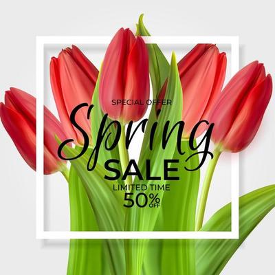 Spring Sale Template Background with realistic Tulip Flower. Vector Illustration