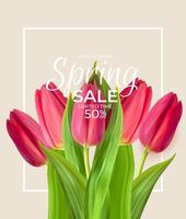 Spring Sale Template Background with realistic Tulip Flower. Vector Illustration