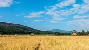 nuvem de lapso de tempo movendo-se sobre os campos de arroz. Reduzir o zoom video