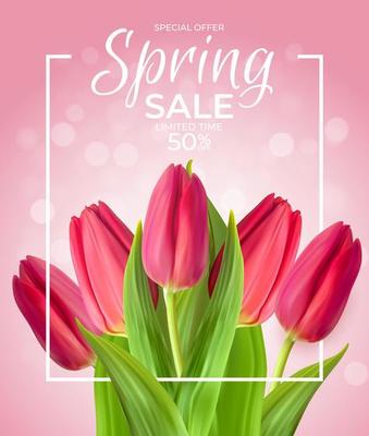 Spring Sale Template Background with realistic Tulip Flower. Vector Illustration