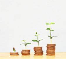 Trees growing on pile of coins money on white background photo