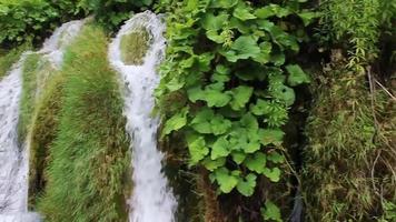 Parque nacional de los lagos de plitvice cascada agua turquesa croacia. video