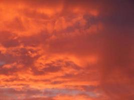 Fiery sunset on nature forest photo