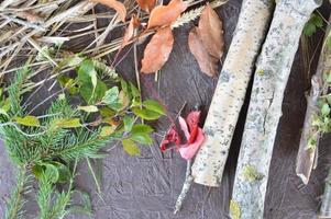 Still life of forest fruits and plants photo