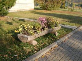 Landscaping garden in park art photo