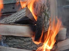 El fuego arde en el bosque sobre madera. foto