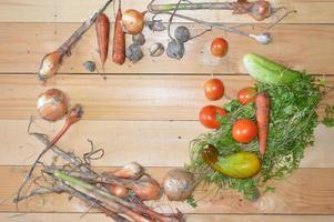 Vegetables grown independently in the country photo