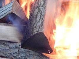 El fuego arde en el bosque sobre madera. foto