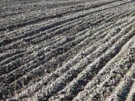 Tractor plowed field and arable land photo