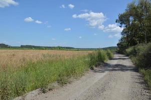 panorama de paisajes de campos y carreteras en el pueblo foto