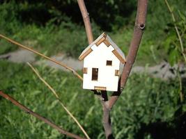 Wooden house on a tree branch photo