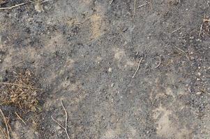 Burnt scorched earth texture after campfire photo