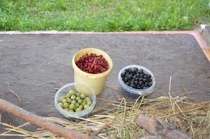 Still life of harvested berries and vegetables in the garden photo