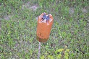 Protective mechanism from plastic bottles against moles for the garden and vegetable photo