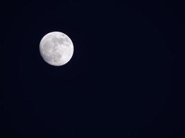 Moon in the night sky photo