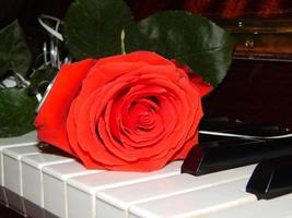 Piano keys flowers photo