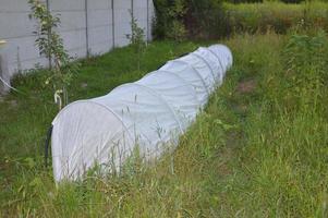 Covered white greenhouse for growing vegetables photo