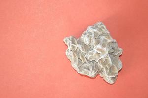 Desert flower stone isolated on background photo