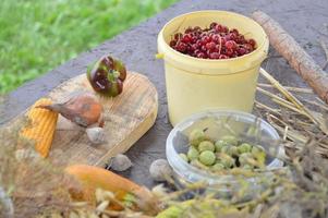 Still life of harvested berries and vegetables in the garden photo