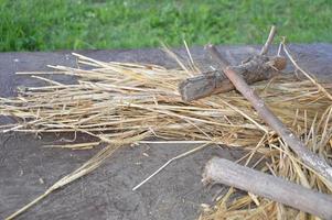 Collection of dry green manure plants for the next season in the garden photo