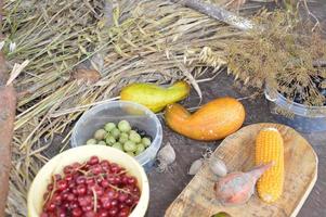 Still life of harvested berries and vegetables in the garden photo