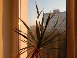 Dawn of the sun in the city and the reflection of the building architecture of houses photo