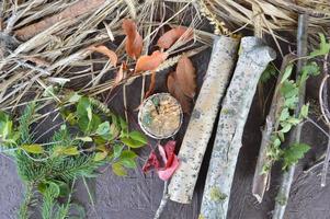 Still life of forest fruits and plants photo