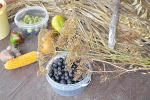 Still life of harvested berries and vegetables in the garden photo