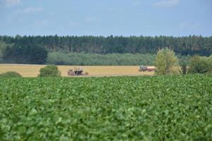 Panorama of a field with a harvester for harvesting photo