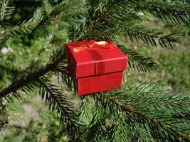 Red gift box on the background of spruce photo